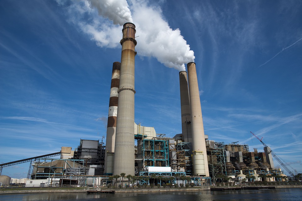 Carbon emerges as big winner of 2016