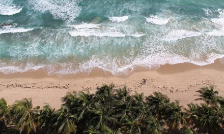 Climate change to dramatically impact Puerto Rico