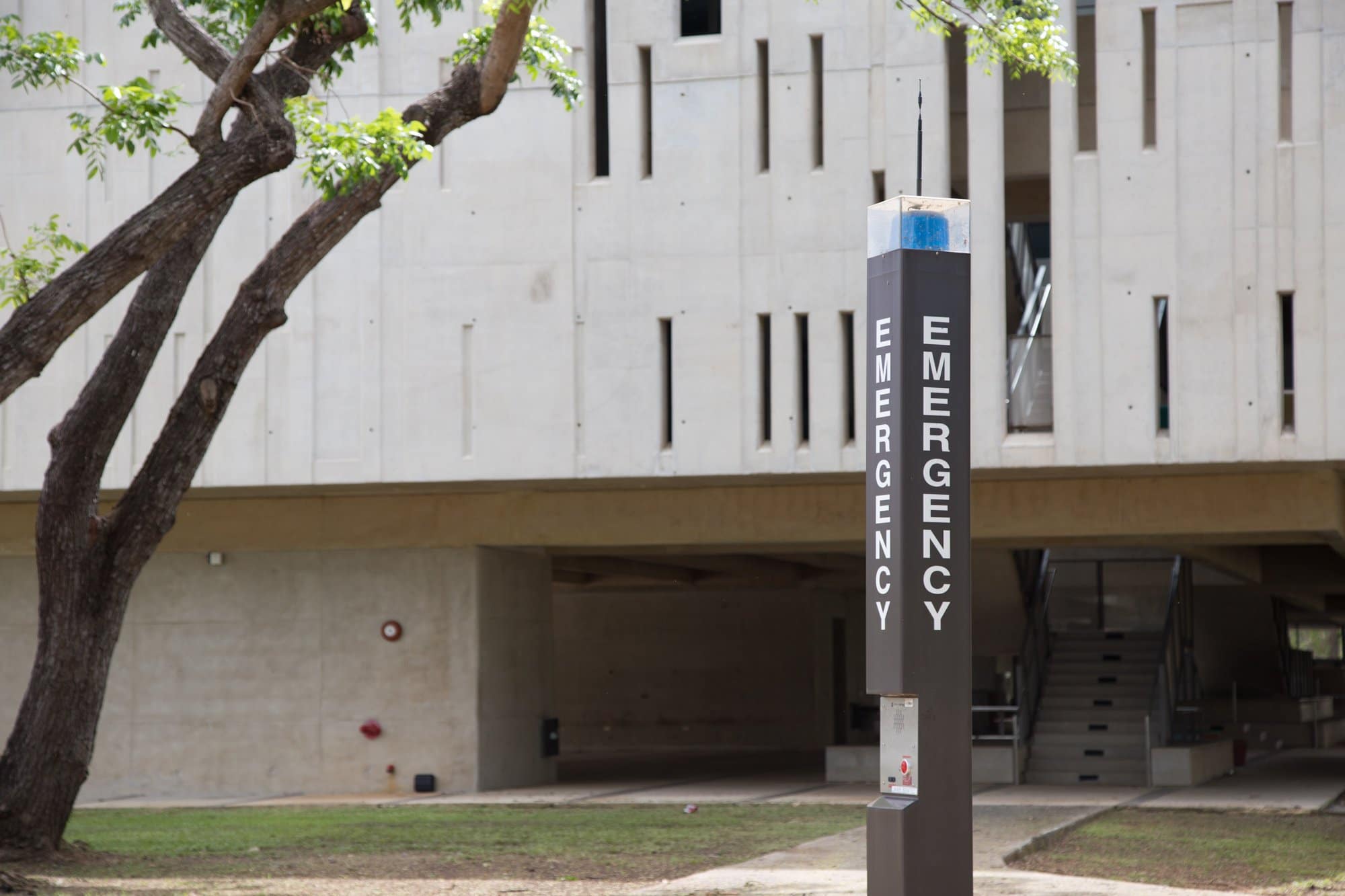 The resilience of students after Hurricane Maria