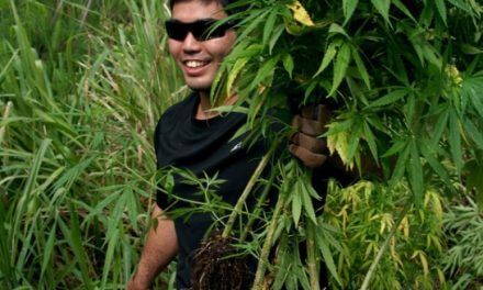 Guam set to legalize recreational marijuana