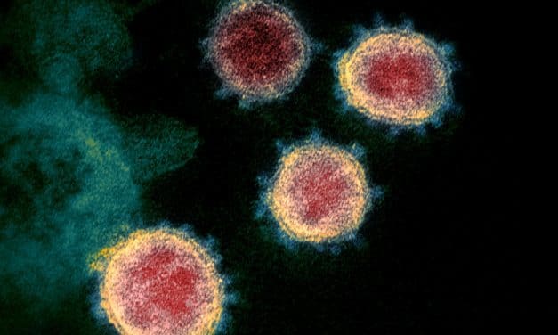 US territories grapple with the coronavirus pandemic