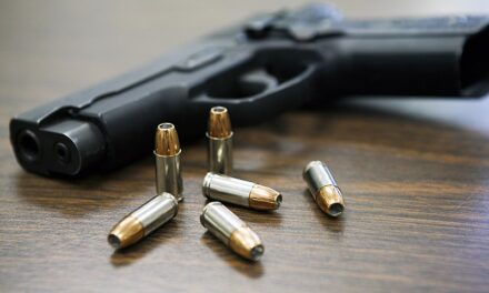 Gun violence: A tale of territorial triumph and despair