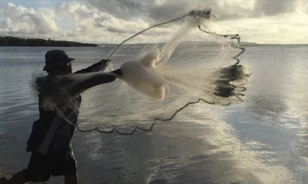 How Northern Mariana Islands’ new funds can help sustainable fishing