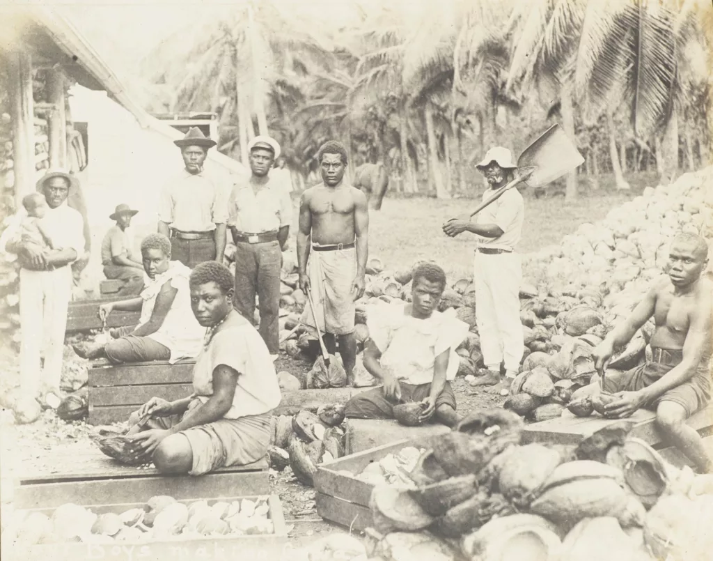 Solomon Islanders cutting copra, c. 1900. Soloman [sic] Island workers making copra.
From the album Samoa, c. 1918, by Alfred James Tattersall. Te Papa (O.041889).