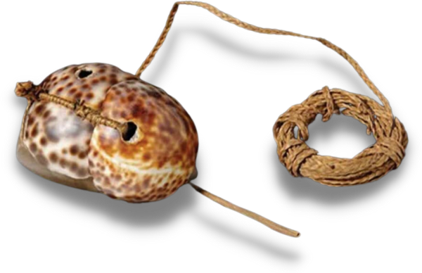 A re-created example of an ancient octopus lure from Tonga housed at the Pitt Rivers Museum in England. Photo credit: Pitt Rivers Museum, Artifact Registration.