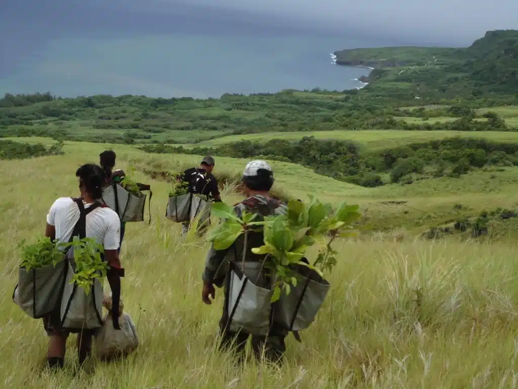 The driving force for conservation is optimism