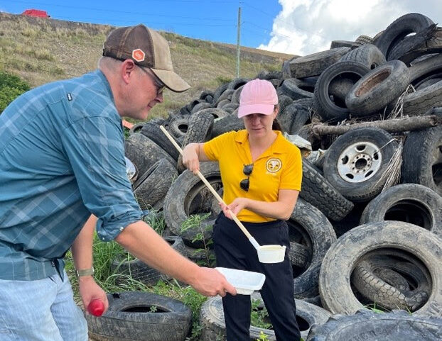 US Virgin Islands Department of Health’s Epidemiology Division establishes Dengue Hotline as cases rise